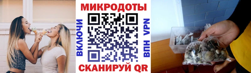 купить  цена  Городовиковск  Галлюциногенные грибы мицелий 